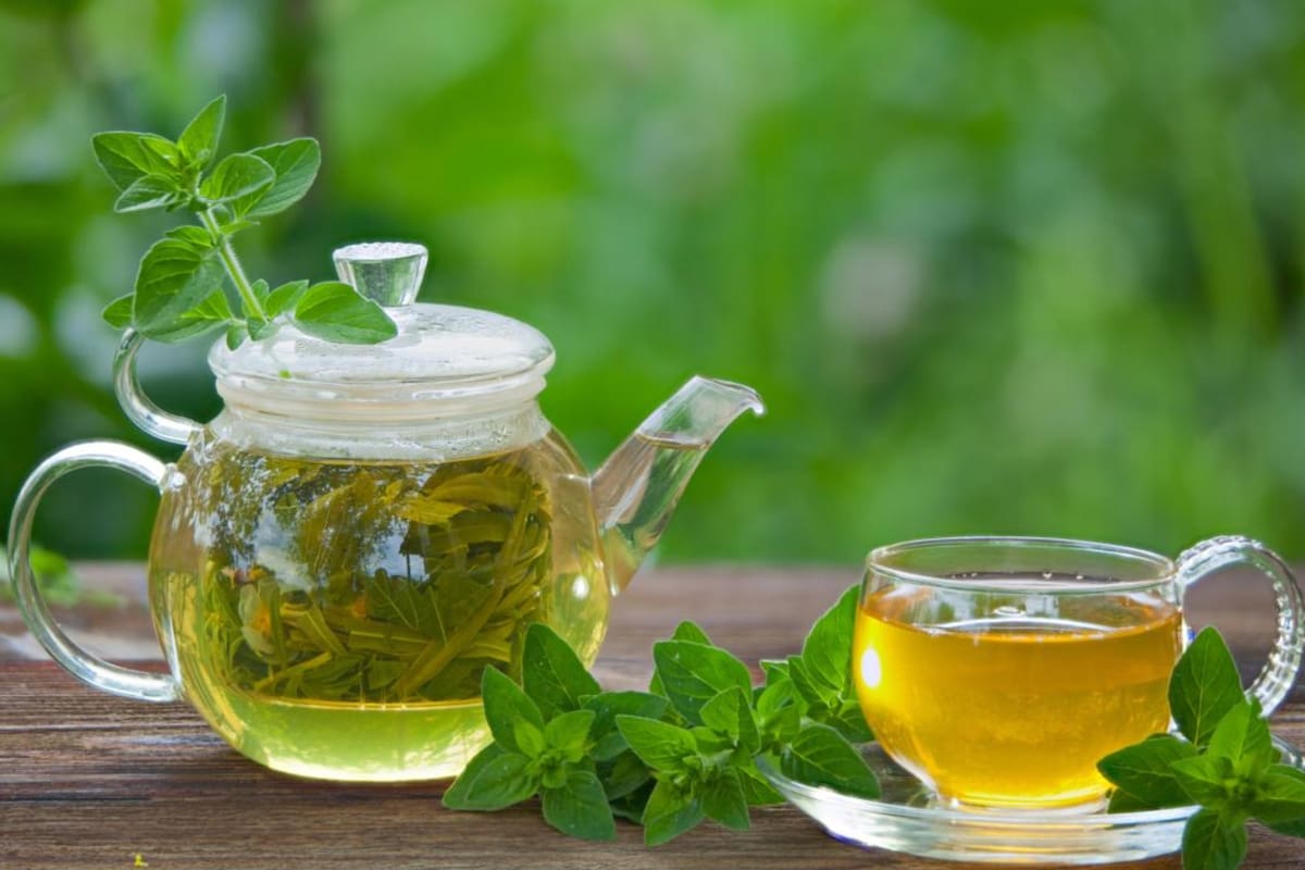 El orégano es una planta nativa del oeste o suroeste de Eurasia y la región mediterránea (Foto: iStock)