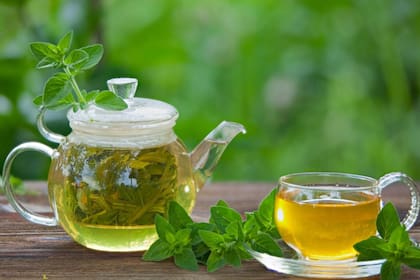 El orégano es una planta nativa del oeste o suroeste de Eurasia y la región mediterránea (Foto: iStock)