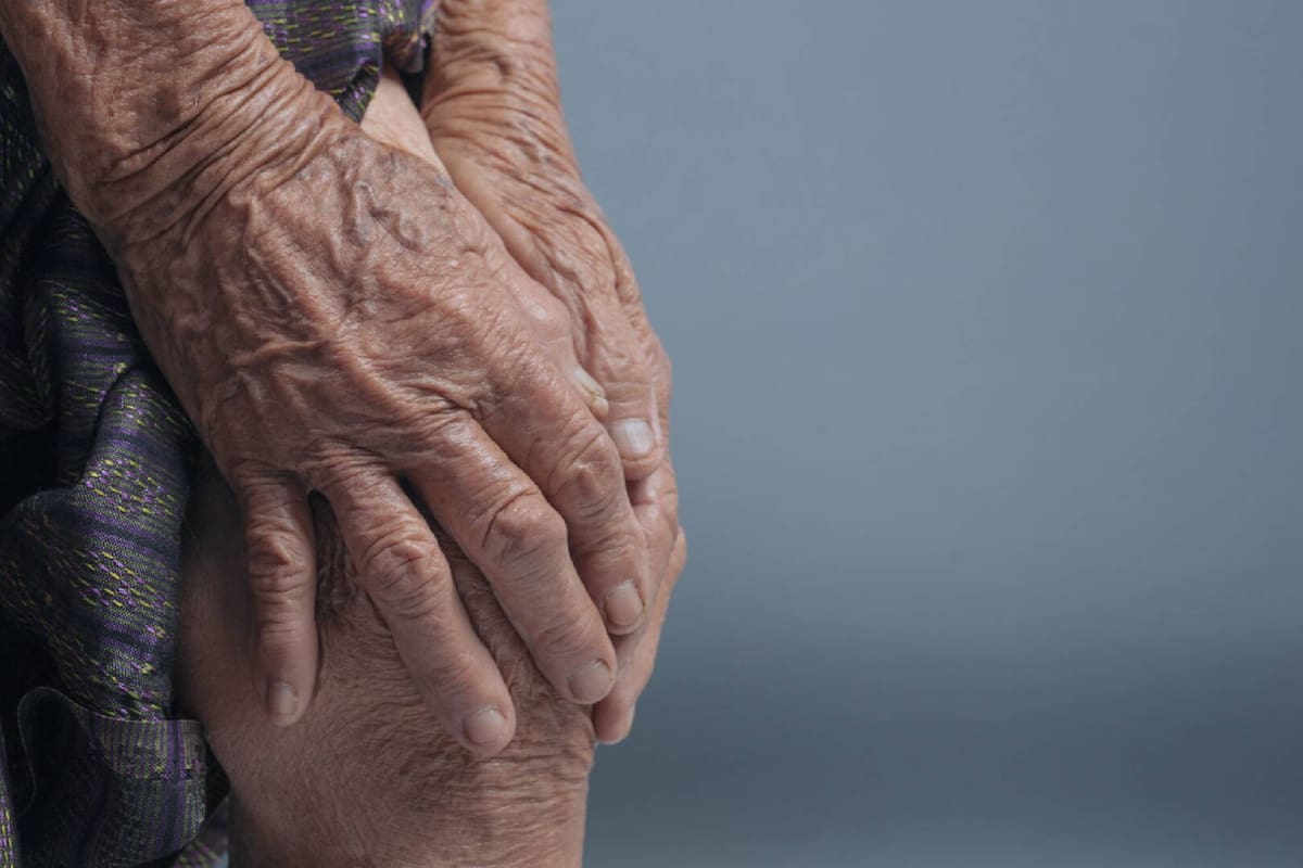 El orégano puede calmar el dolor de rodilla debido a su amplia cantidad de antioxidantes