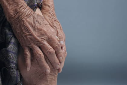 El orégano puede calmar el dolor de rodilla debido a su amplia cantidad de antioxidantes