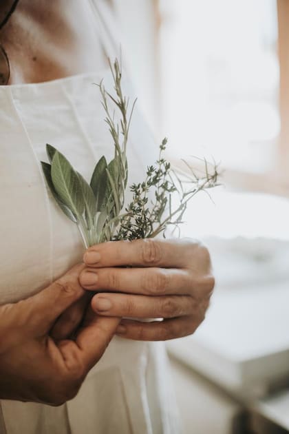 El orégano tiene en su composición fitoquímicos que nos traen beneficios para la salud y la belleza.