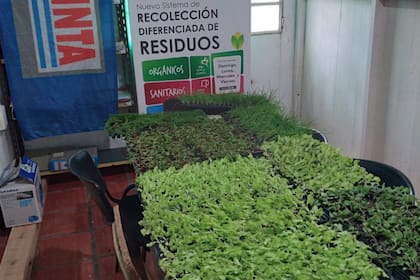 El organismo avanzó con el cierre de 41 agencias de extensión