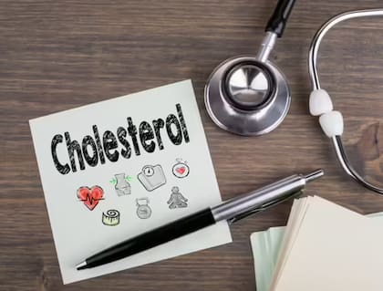 El organismo cuenta con aproximadamente 140 gramos de colesterol