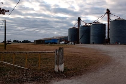 El organismo recaudador informó que en los últimos meses en las distintas provincias desarticuló maniobras ligadas con granos por más de 42.000 toneladas. Foto de AFIP