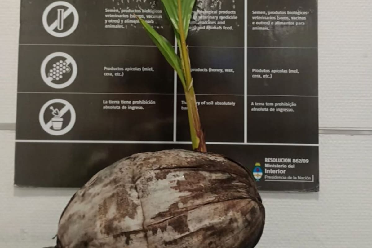 El organismo sanitario informó la situación a través de sus redes sociales, donde remarcó la importancia de los controles para proteger la producción nacional