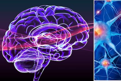 El origen de las demencias continúa siendo desconocido, lo que dificulta el desarrollo de tratamientos efectivos