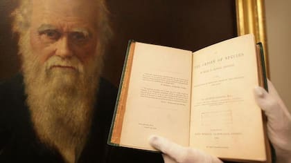 El "Origen de las Especies" es considerado el fundamento del pensamiento de la biología evolutiva