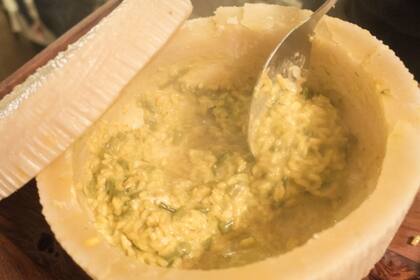 El origen de los lácteos fermentados fue debido a una mosca