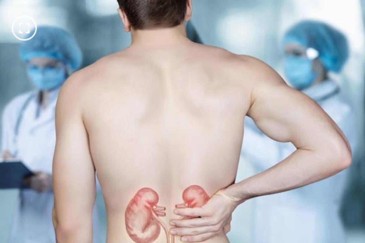 El ortosifón contribuye a la eliminación de toxinas a través de la orina