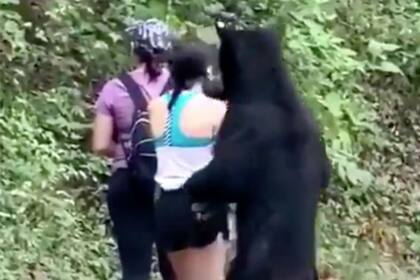 El oso se paró en sus patas traseras para olfatear a la mujer. Fuente: Twitter.