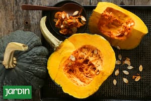 El otoño es momento de la cosecha. Dan muchos frutos y, además de consumirse recién cosechados, pueden almacenarse con el cabo entero varios meses.