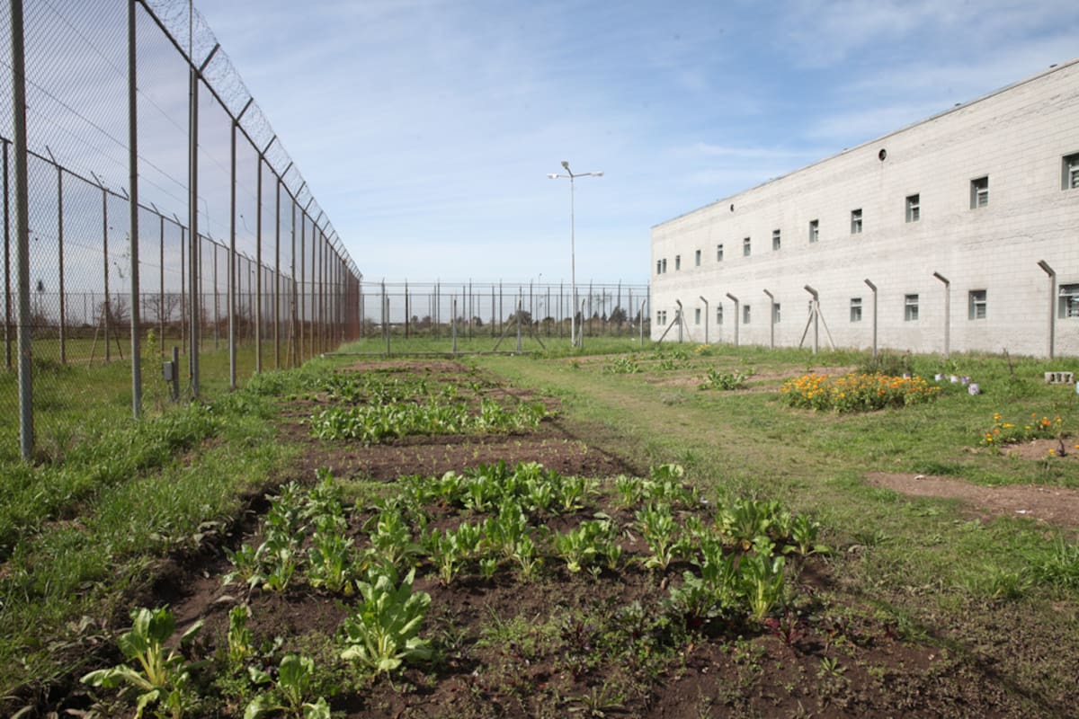El pabellón psiquiátrico de la cárcel de Ezeiza