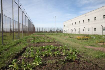 El pabellón psiquiátrico de la cárcel de Ezeiza
