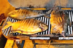 El pacú entró en combinación con el arroz como alternativa de producción