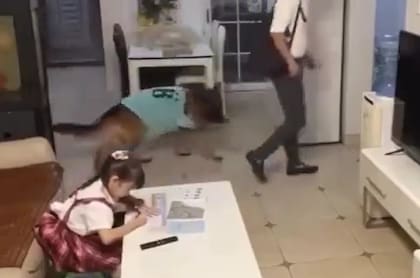 El padre de la niña entró rápidamente a su casa sin percibir nada raro (Foto: X)