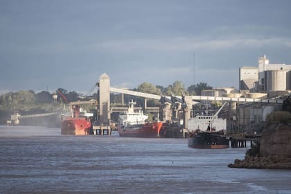 El país debería desarrollar un plan multisectorial de suministro sostenible de alimentos para otras naciones, como de Asia
