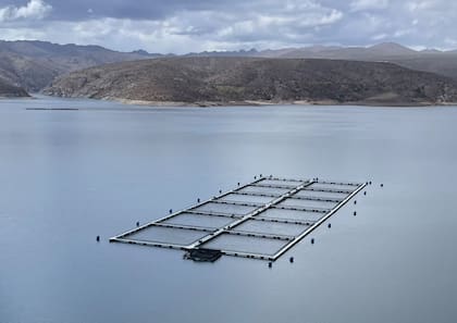 “El país posee condiciones extraordinarias para desarrollar acuicultura a gran escala en su plataforma marina", dijo el experto