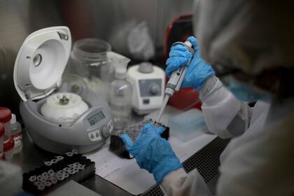 El país se acerca a los 33.000 muertos por la pandemia del coronavirus Covid-19