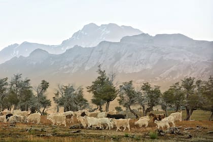 El paisaje bucólico de esta región a 500 km de la capital provincial