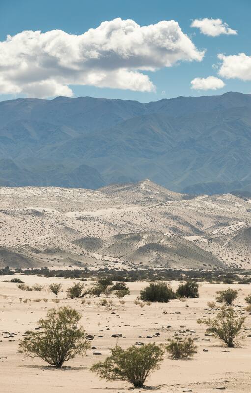 El paisaje cordillerano es magnético.