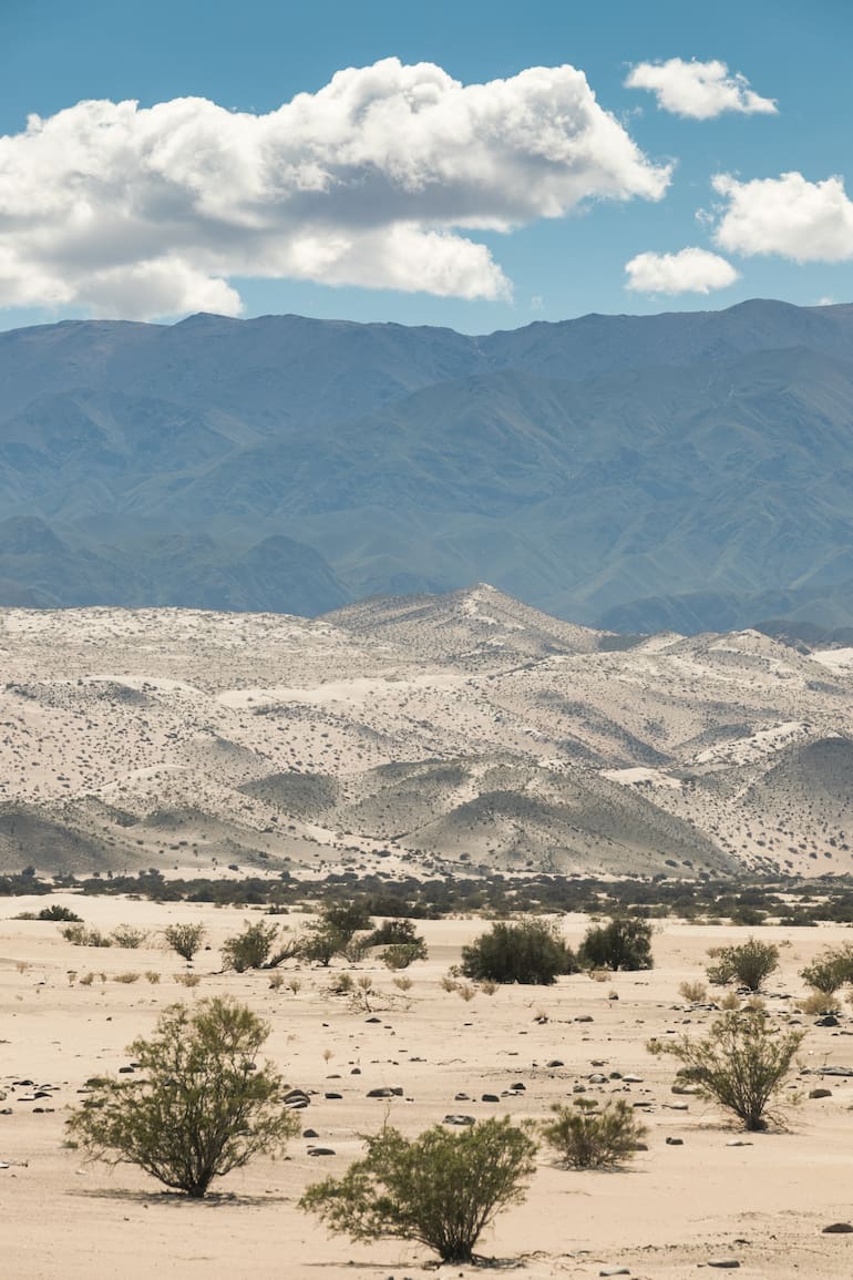 El paisaje cordillerano es magnético.