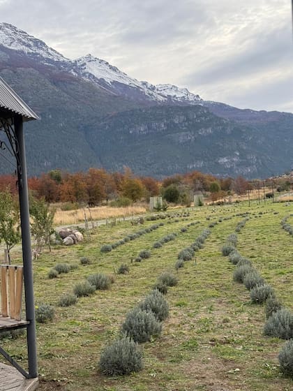 El paisaje de fondo de la chacra
