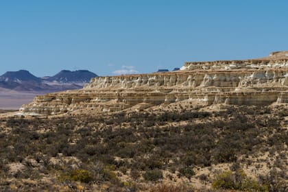 El paisaje de la estancia es prejurásico, de antes de que el hombre habitara la Tierra.