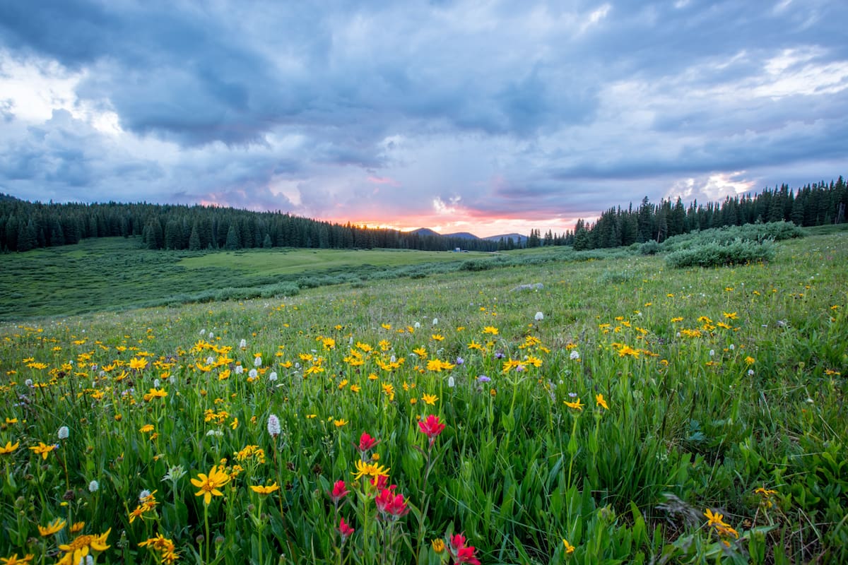 El paisaje primaveral inspiró muchos pensamientos que se pueden regalar en este día.