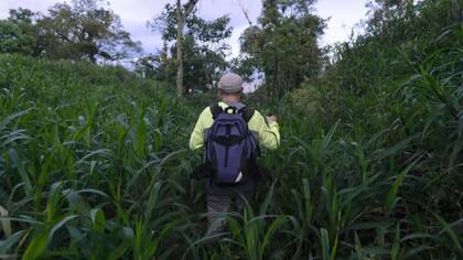El paisaje urbano descubierto en el valle del río Upano tiene una antigüedad de 3.000 años - Sofia Quaglia