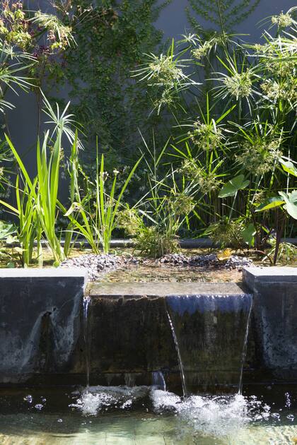 El paisajismo ecosistémico elige especies que no solo se adapten a las condiciones del lugar,sino que generen beneficios ambientales, propiciando el desarrollo de la flora y la fauna locales.