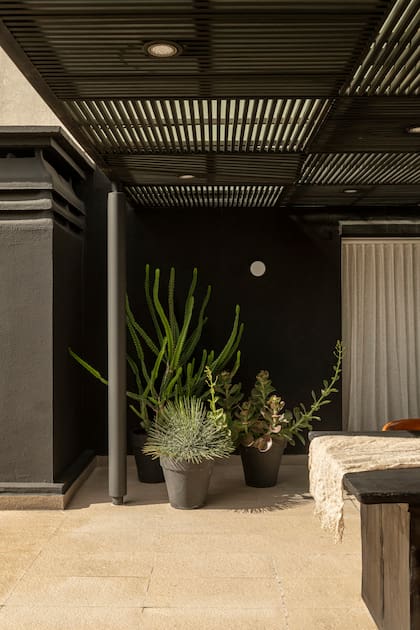 El paisajismo es sencillo y está pensado para el uso que le dan sus dueños: en condiciones de riego mínimo y mucho sol, los cactus, suculentas y palmeras sobreviven sin problemas.