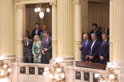 El palco que ocupó Karina Milei en la jura de los senadores