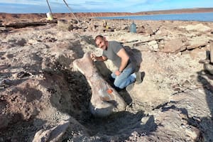 El paleontólogo Jorge Calvo en el parque geopaleontológico Proyecto Dino de la Universidad Nacional del Comahue en el lago Barreales