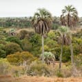 El parque nacional favorito para excursiones escolares que abre todo el año