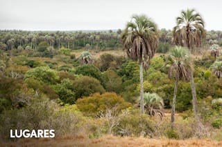 El parque nacional favorito para excursiones escolares que abre todo el año