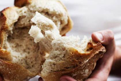 El pan integral se elabora con harina molida a partir del grano entero; el pan blanco utiliza sólo el endospermo del grano