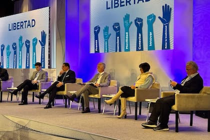 El panel de la SIP que analizó la situación en la Argentina