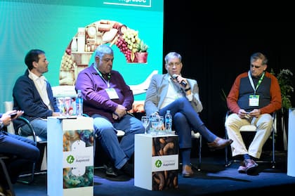 El panel que participó de la charla