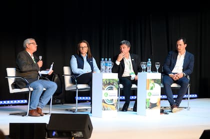El panel sobre el mapa de carbono