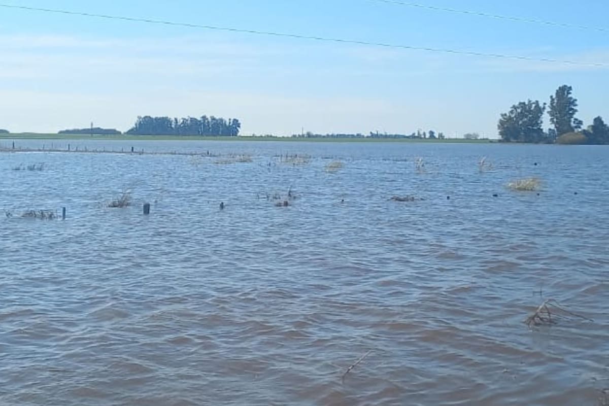 “El panorama en la zona rural, de los distritos María Teresa, Christophersen y La Chispa (departamento General López) es alarmante”, resumió Laura Llopi, titular del Consejo Asesor Regional Santa Fe de Coninagro