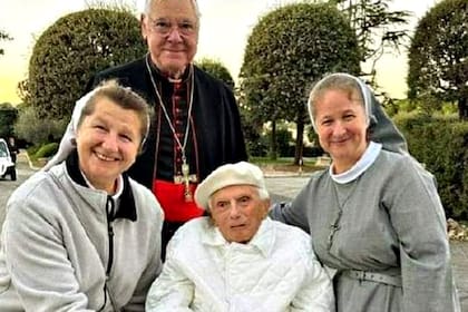 El Papa emérito en una foto reciente