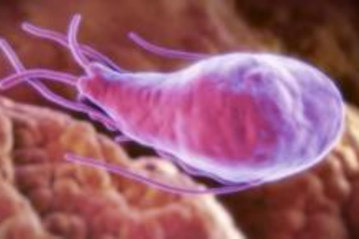 El parásito de la giardia se encuentra en el agua contaminada, y puede causar diarrea crónica.