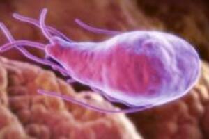 El parásito de la giardia se encuentra en el agua contaminada, y puede causar diarrea crónica.
