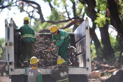 El Parque 3 de Febrero es uno de los 178 espacios verdes porteños que sufrieron las consecuencias del temporal del 17 de diciembre