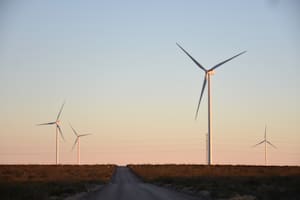 El parque eólico más grande del país está ubicado en Chubut