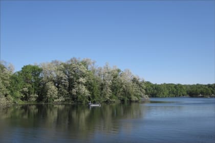El parque estatal en Illinois cerrará mientras se realiza un tratamiento con herbicidas acuáticos en el lago Carlton