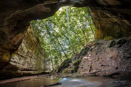 El parque estatal Starved Rock cuenta con cañones, senderos, cascadas y actividades anuales (Web/Jacki Muser)