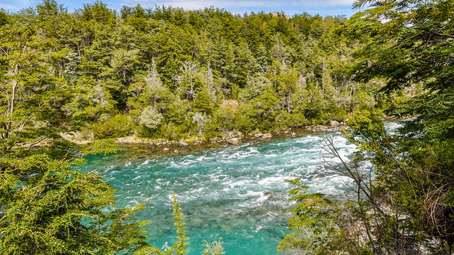 El parque Los Alerces abarca un total de 259.822 hectáreas, con un gran porcentaje de reserva natural estricta que permanece inaccesible
