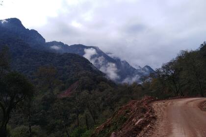El parque nacional Calilegua