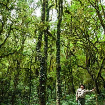 El parque nacional Baritú, ubicado en la provincia de Salta, aún no se encuentra habilitado a visitantes.